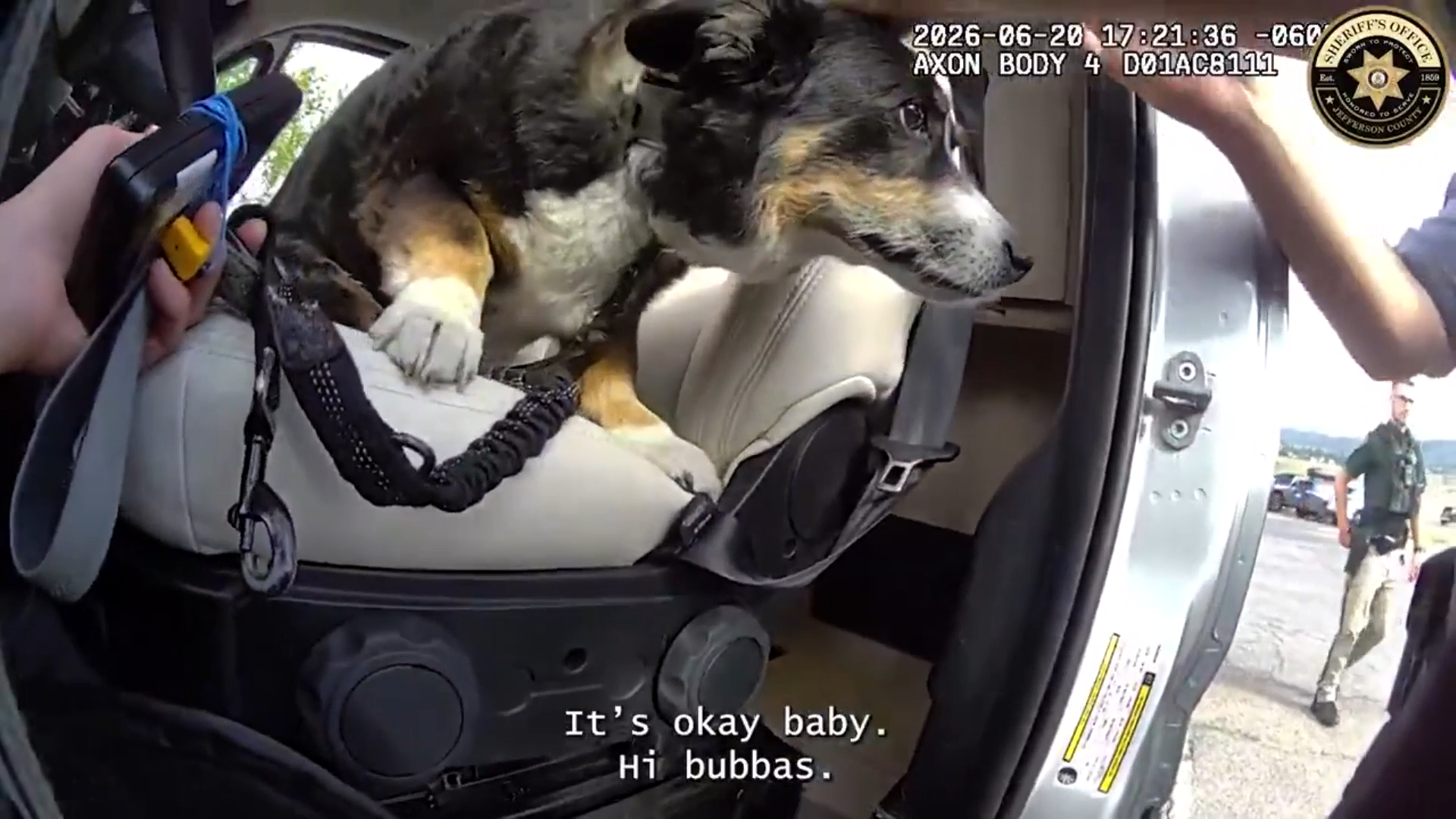 Dog Rescued After Nearly Four Hours Trapped In Hot Van In Colorado episode artwork