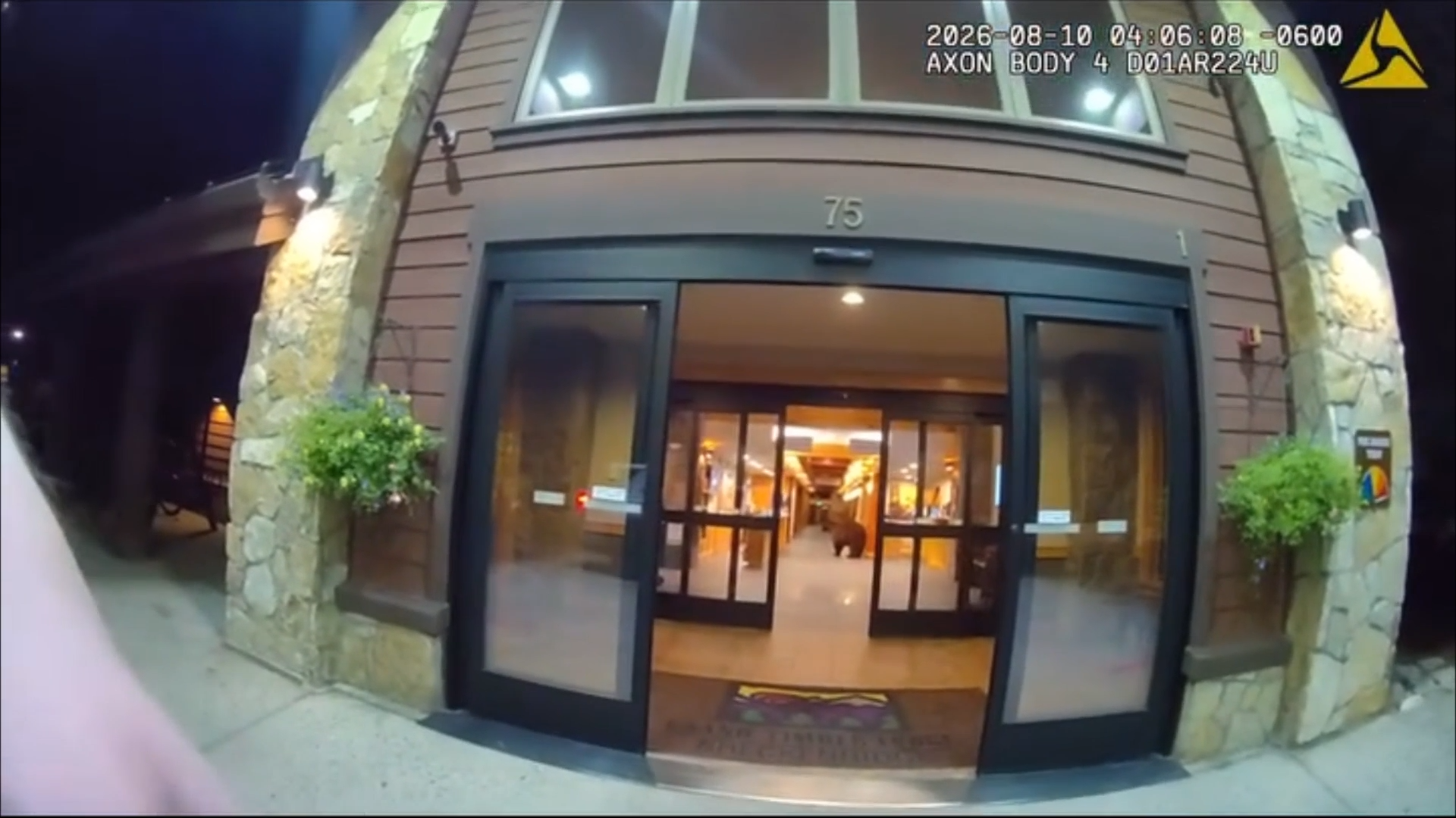 Hungry Black Bear Breaks Into Colorado Hotel And Steals M&Ms episode artwork