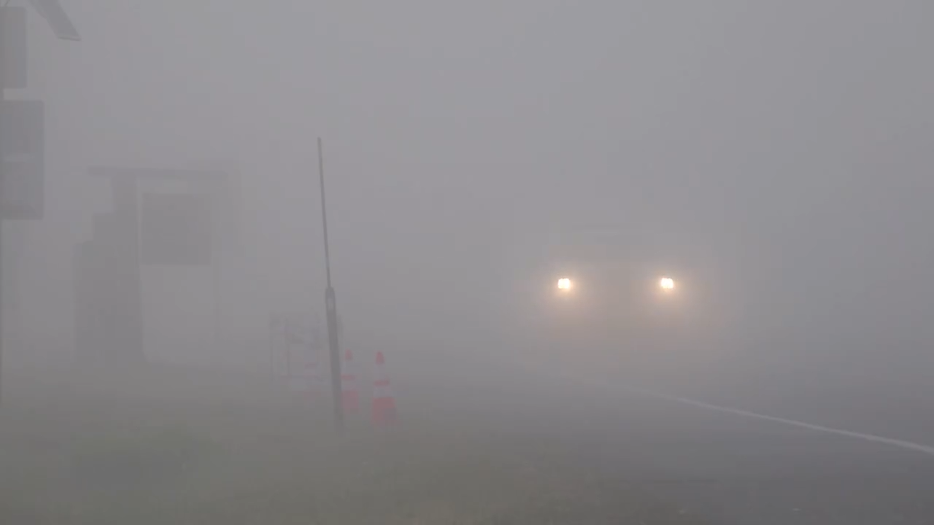 Thick Fog Swallows Sierra Valley During Elephant Fire Battle episode artwork