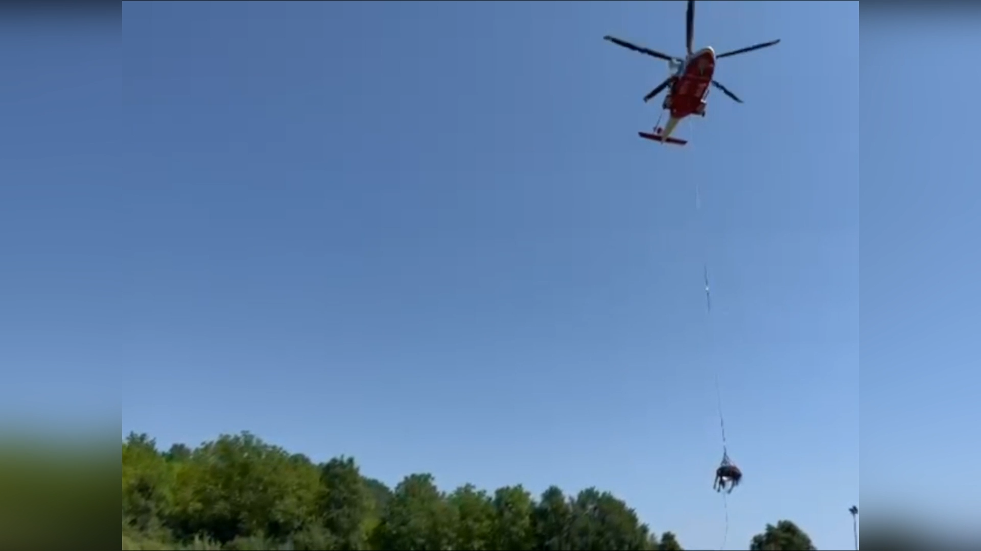 Horse Lifted To Safety By Helicopter After Falling Into Ravine In Italy episode artwork