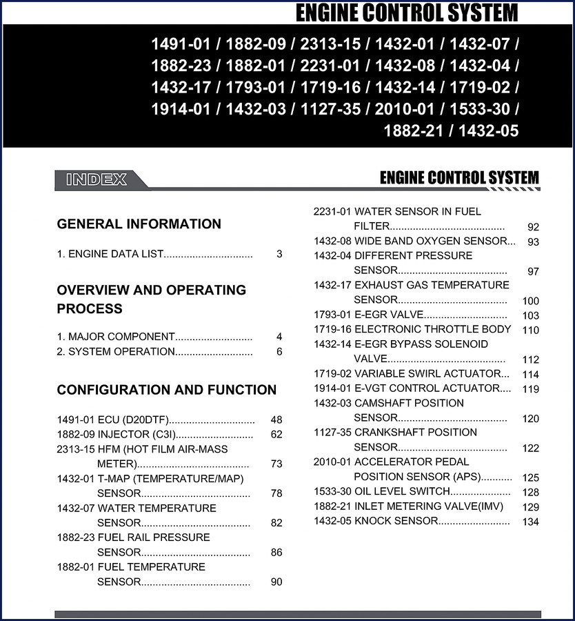 Ssangyong 1491-01, 1882-09, 2313-15, 1432-01, 1882-23 Technical Manual cover page - 172 pages PDF