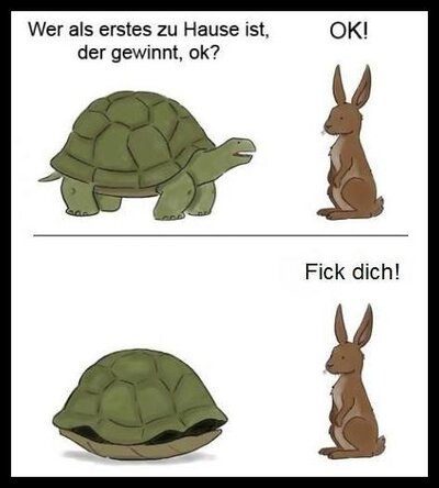 246782-hase.jpg