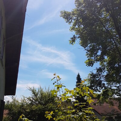 20160717_124228.jpg