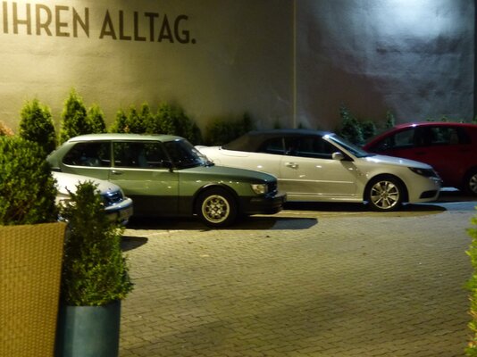 Frosch und 9-3 CV weiss.jpg