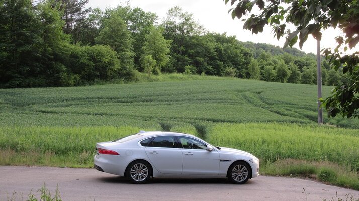 Jaguar XF 2016 (9).JPG