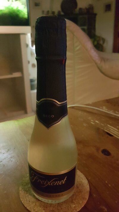 20161021_221204.jpg