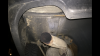 34EB8037-FFE8-4A4C-B31D-224EBF619290.png