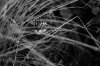 A0A8DEB4-309D-4E06-982F-1F18DE0D49F8.jpeg