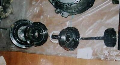 imag0091.jpg