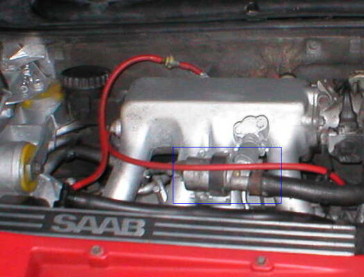 ll_114.jpg