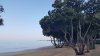 20190912_083228.jpg