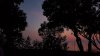 20190917_193533.jpg