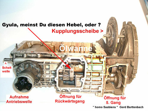fenster_rueckwgang.jpg