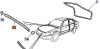 4303798 (2).png