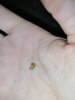 IMG_20201119_154422.jpg