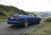 93cvhirsch.jpg