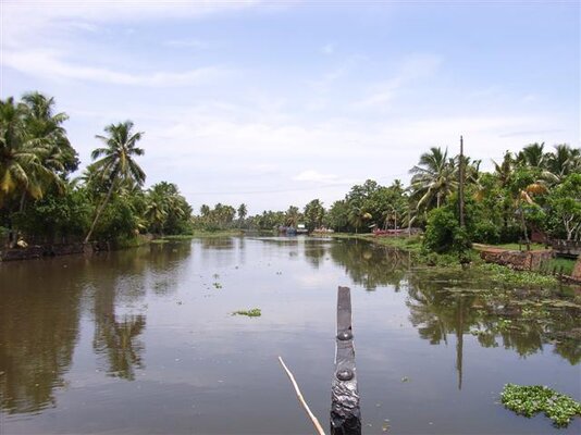 backwaters.JPG