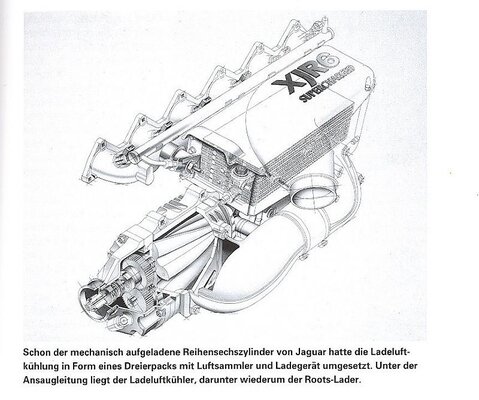 jaguar LLK2.jpg