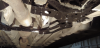 upload_2023-4-24_20-59-36.png