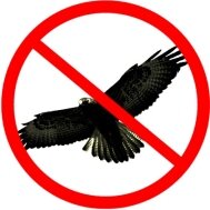 Logo_Vogel.jpg