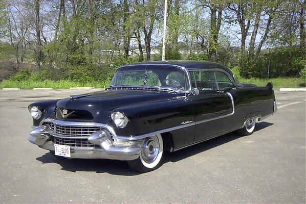 1955 cadillac 77 chevy sekulich 160.jpg