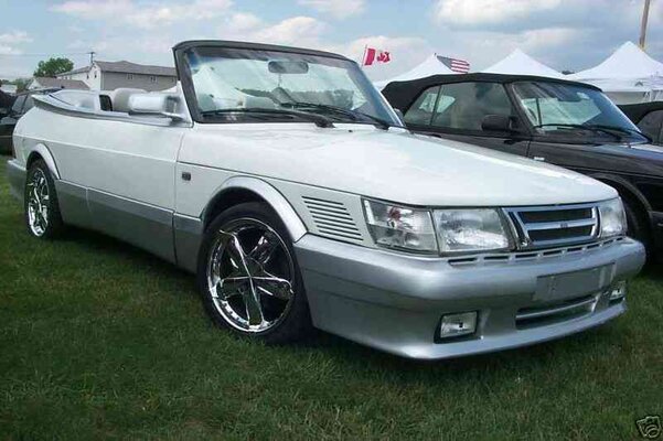 Pimpmysaab.jpg