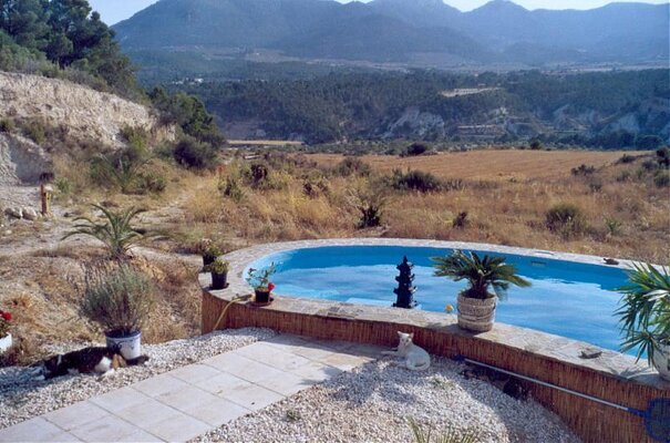 Pool -  Ende Mai 2004.jpg