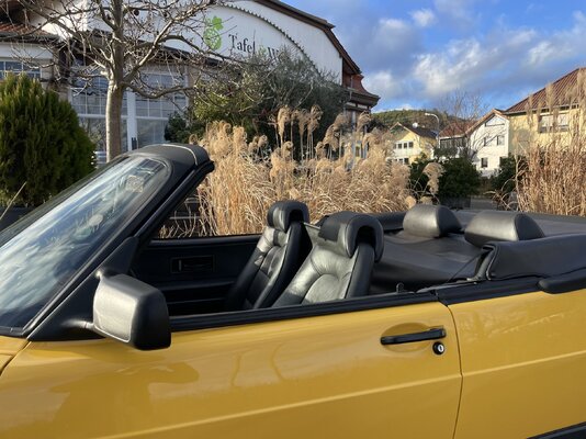 Bewegungsfahrt 2025-Januar 04.jpg