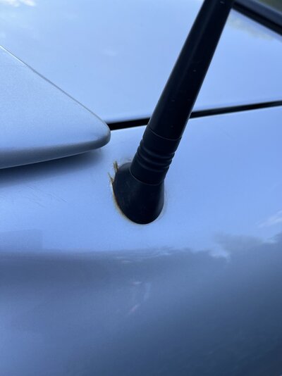 IMG_9965.jpeg