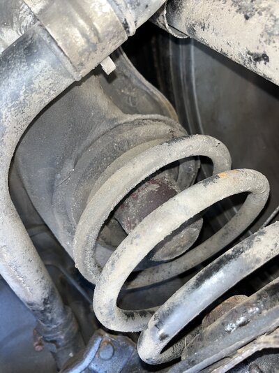 IMG_0626.jpeg