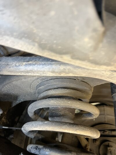 IMG_0623.jpeg