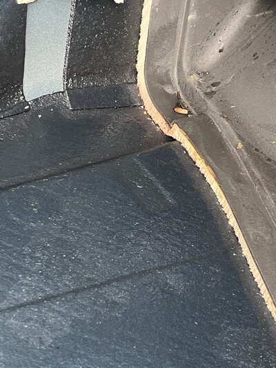 IMG_2863.jpeg
