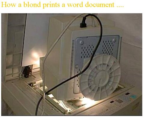 Blondie Kopie.jpg