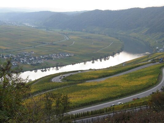 mosel_weinbergstrasse.jpg