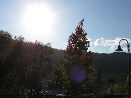 herbstnachmittag_an_der_mosel.jpg