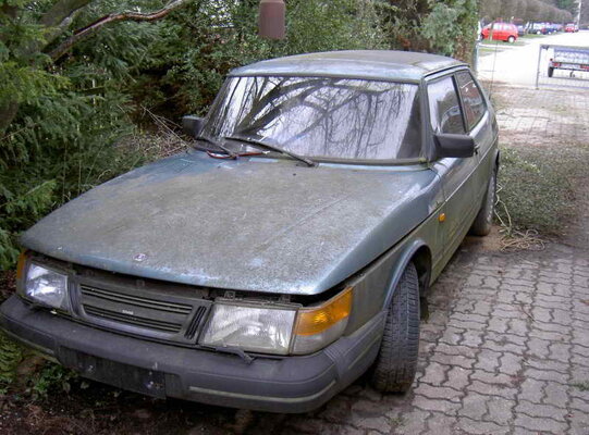 01 Moos.jpg