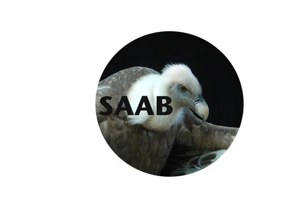 Saab Logo.jpg