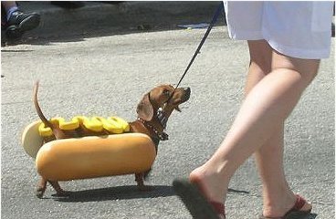 Hotdog.jpg