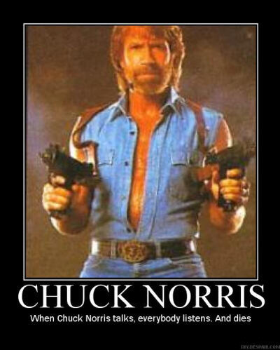 funny-poster-ChuckNorris.jpg