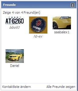 gelbes_netzwerk.JPG
