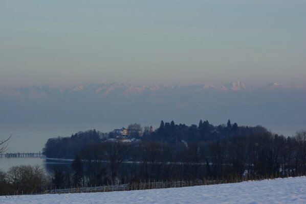 Mainau_vor_Alpen.jpg