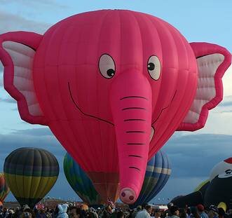 elefant.jpg