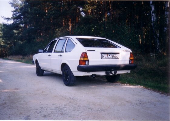 Passat_Heck.jpg