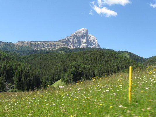 topwetter_wiesengeruch_30.JPG