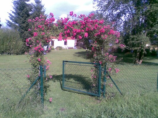 Bild155.jpg