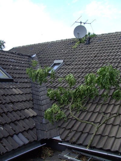 windhose 20090820 - 01.JPG