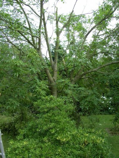 windhose 20090820 - 03.jpg