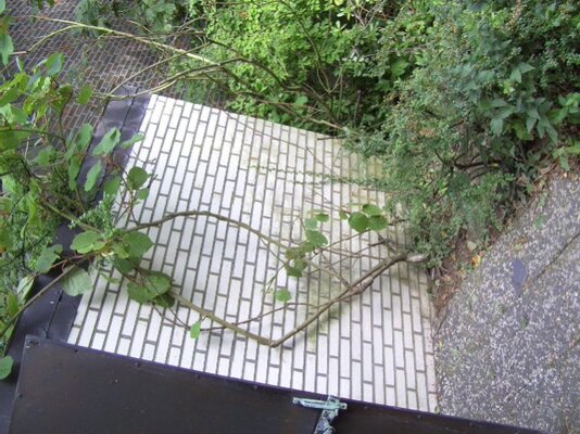 windhose 20090820 - 05.jpg