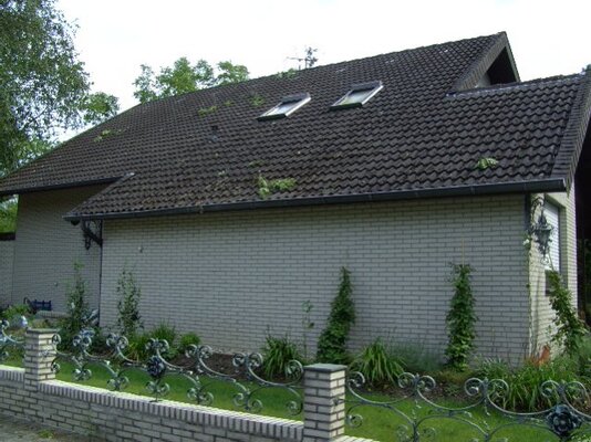 windhose 20090820 - 07.jpg