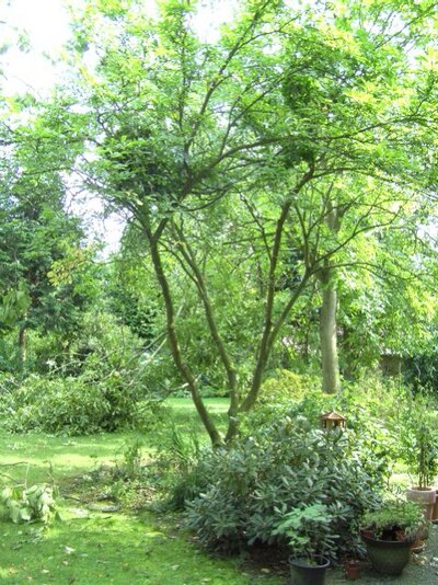 windhose 20090820 - 10.jpg